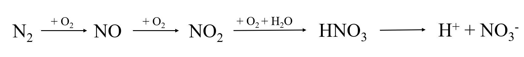 Quá trình chuyển hóa nitrogen trong tự nhiên olm.
